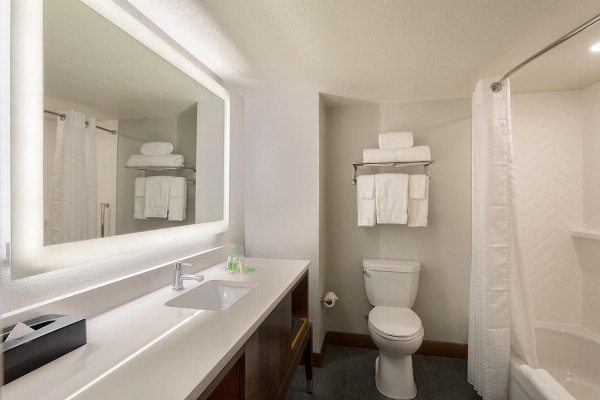 Holiday Inn & Suites Orlando SW - Celebration Area image 4